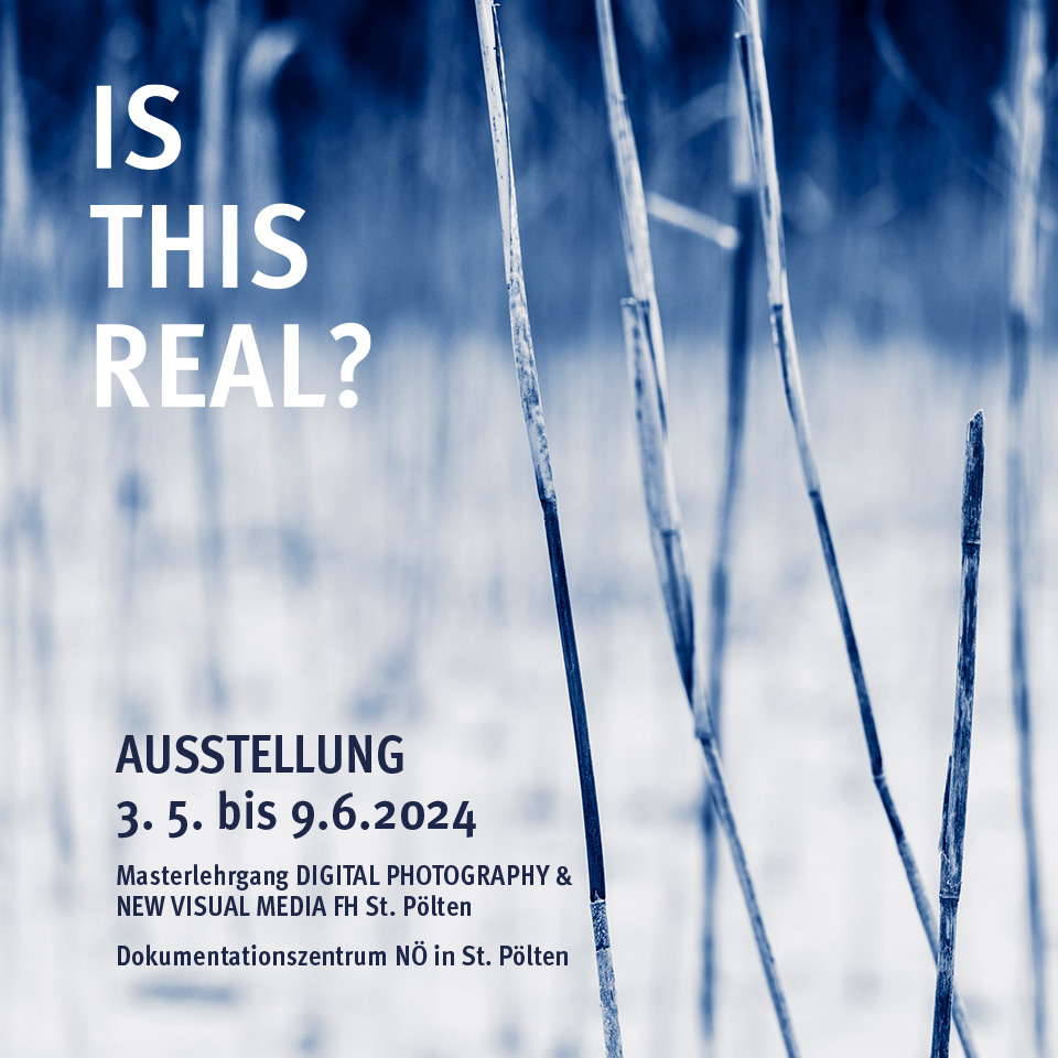 Ausstellung Is this real